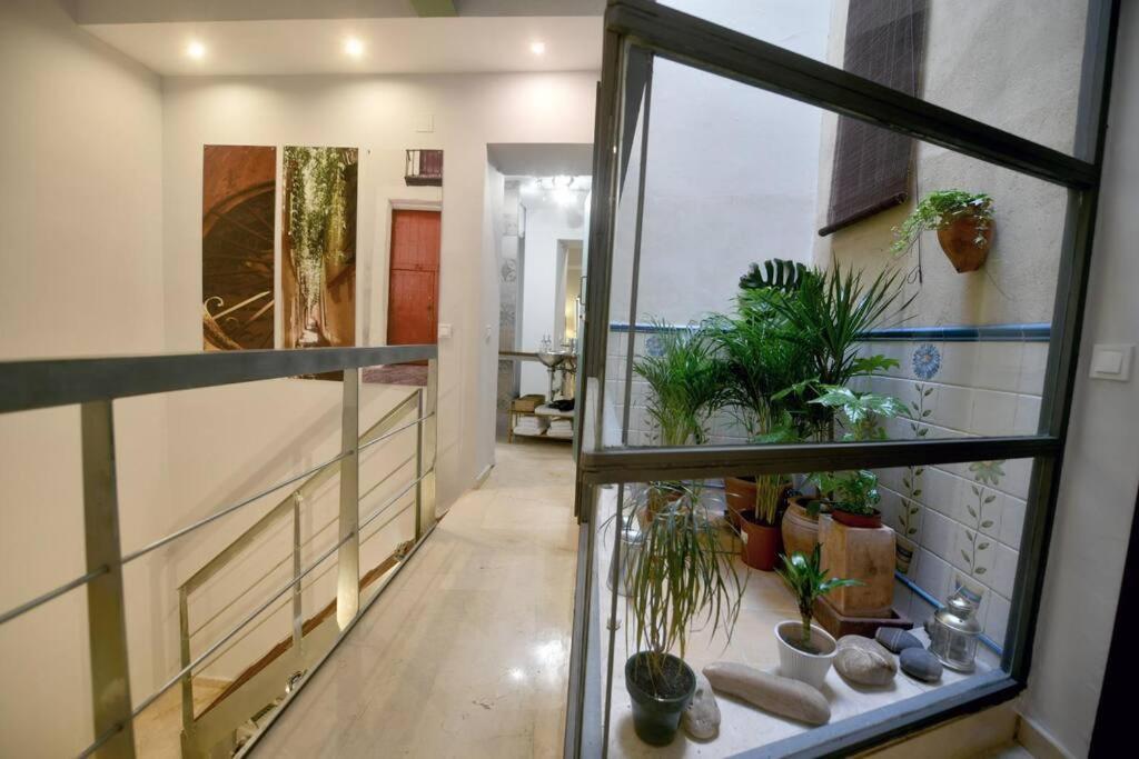 Alegria Sevilla Urban Екстериор снимка